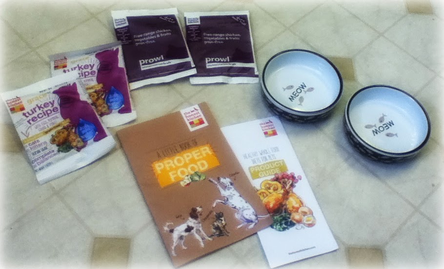 Nesca's Nook The Honest Kitchen dehydrated cat food Prowl & Grace